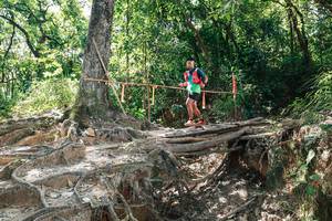 BIB: 
                            <button type="button" onclick="openModal(27800767)" class="btn btn-primary btn-sm float-right btn-popup" data-toggle="modal" data-target=".modal-high-quality">
                        <i class="fas fa-shopping-cart"></i> Add to Cart
                    </button>
                                            <button type="button" onclick="isThisMe(27800767, true)" class="btn btn-success btn-sm float-right btn-popup btn-isme hidden" data-toggle="tooltip" data-placement="bottom" title="นี่คือรูปของคุณใช่ไหม คลิกที่นี่เพื่อเอาเข้าอัลบั้ม">
                        <i class="fas fa-plus"></i> Add to album
                    </button>
                    <button type="button" onclick="isThisMe(27800767, false)" class="btn btn-warning btn-sm float-right btn-popup btn-isnotme hidden">
                        <i class="fas fa-ban"></i> Remove from album
                    </button>